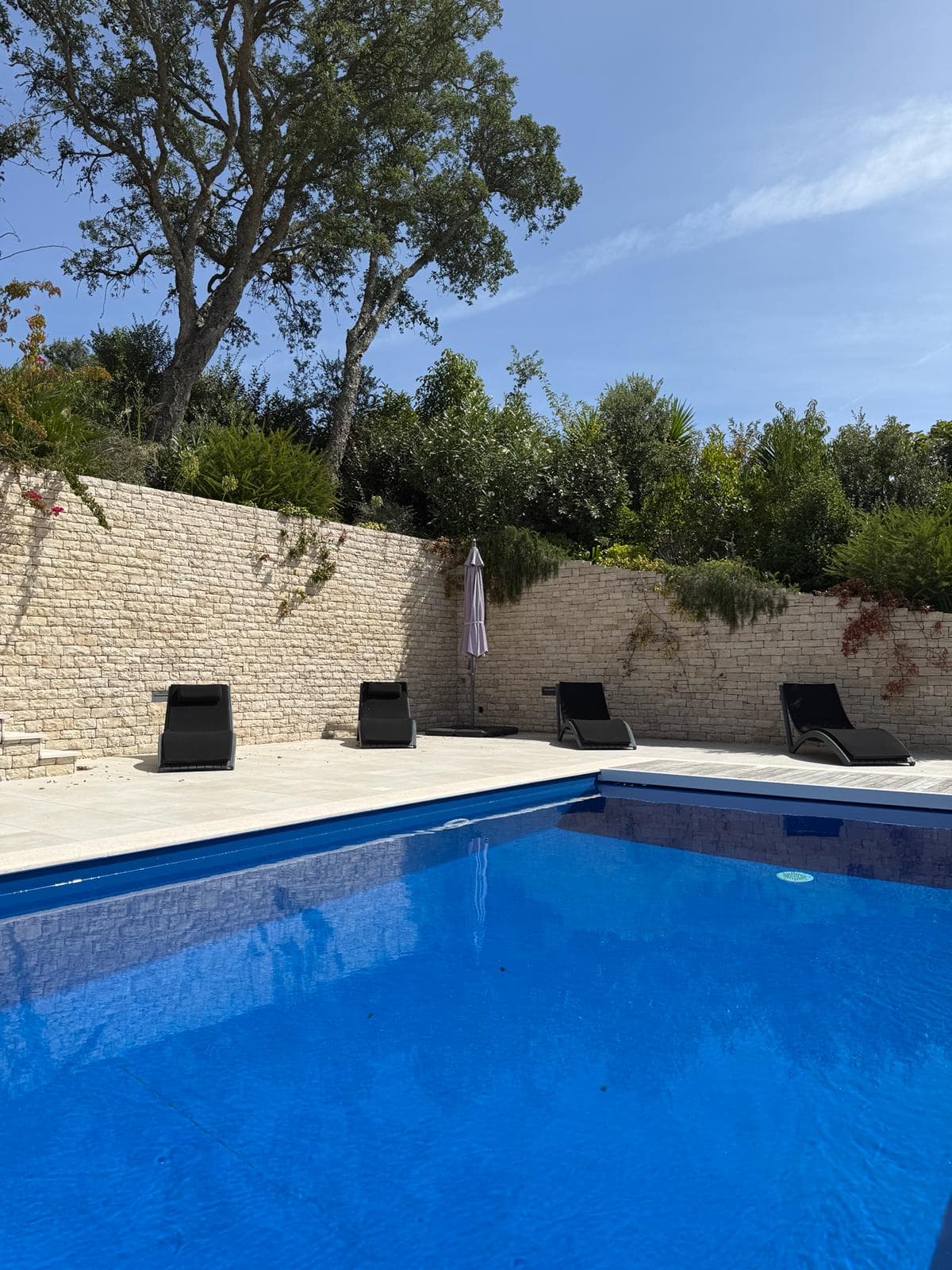 Pool with loungers
